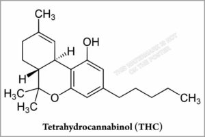 Fig. 4. THC