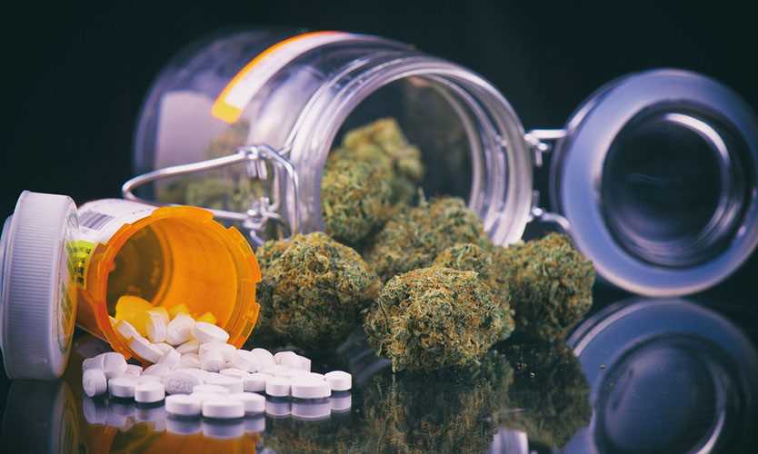 What’s the Difference Between Cannabinoids and Opioids?